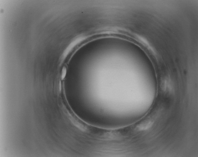 X0000063521368200601271825