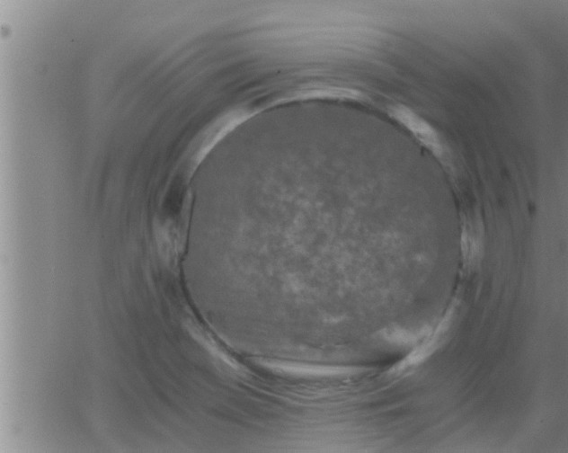 X0000063521369200601271825