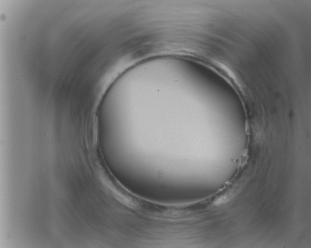 X0000063521371200601271825