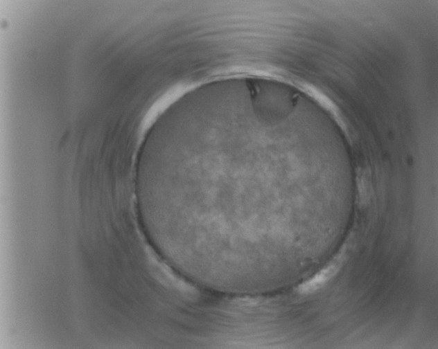 X0000063521373200601271825