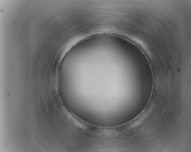 X0000063521374200601271825