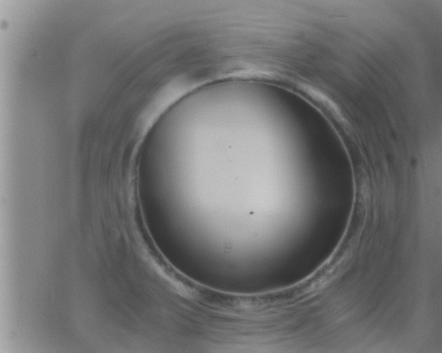 X0000063521375200601271825