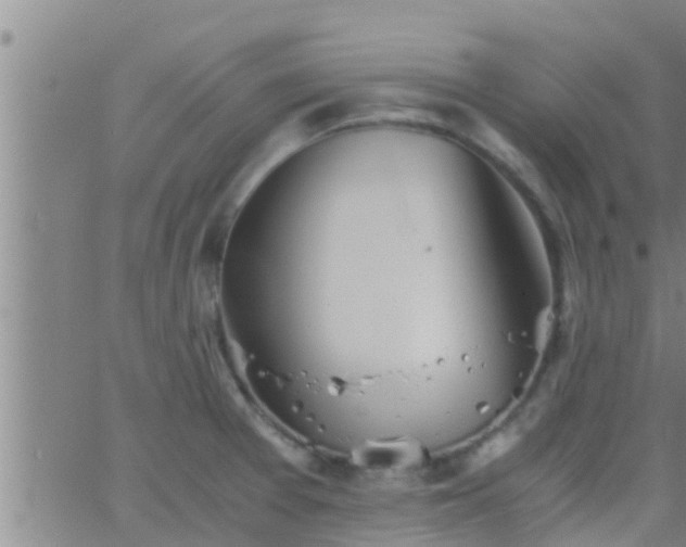 X0000063521377200601271825