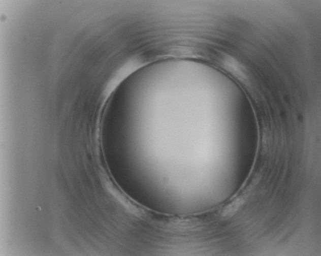 X0000063521378200601271825