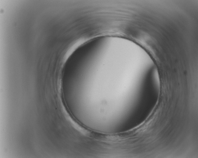 X0000063521383200601271825