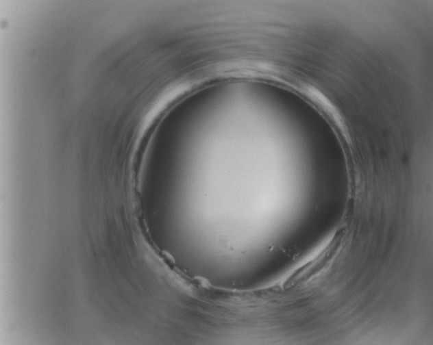 X0000063521384200601271825