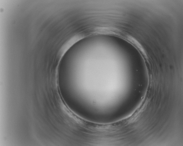 X0000063521386200601271825