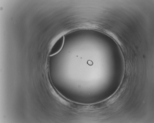 X0000063521387200601271825