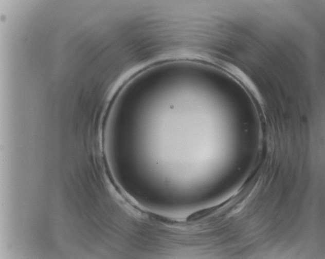 X0000063521388200601271825