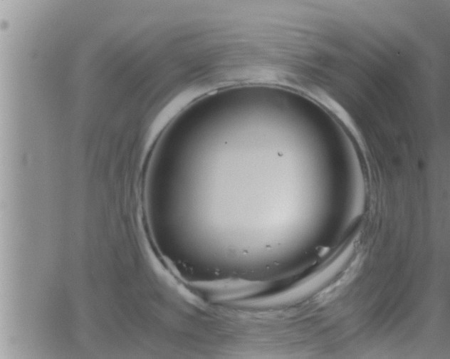 X0000063521389200601271825