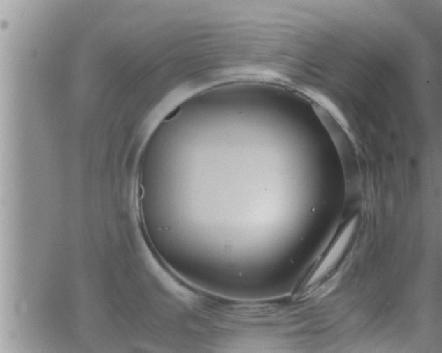 X0000063521391200601271825