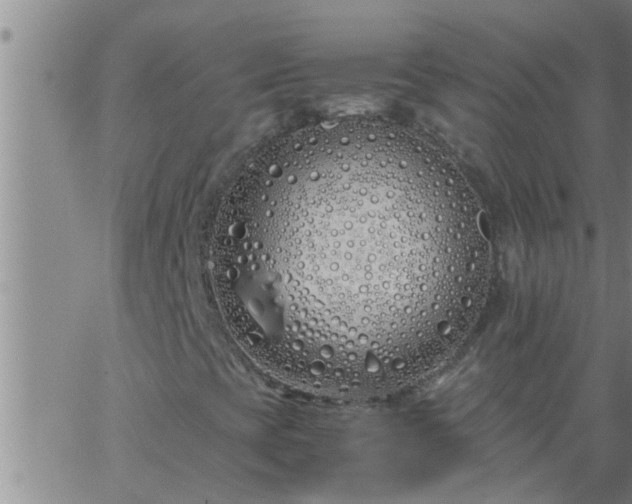 X0000063521393200601271824