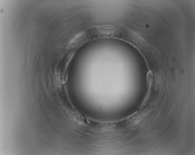 X0000063521394200601271824