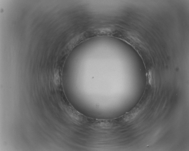 X0000063521395200601271824