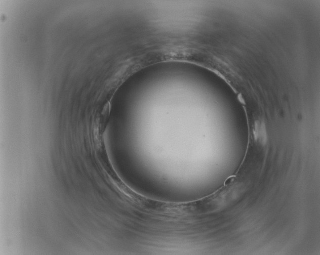 X0000063521396200601271824