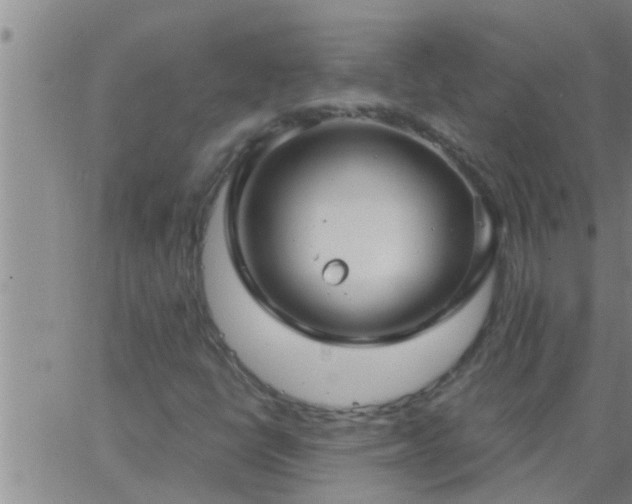 X0000063521398200601271824