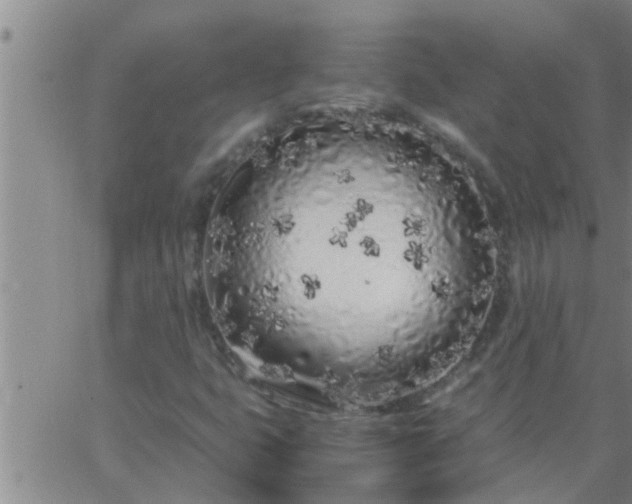 X0000063521399200601271824