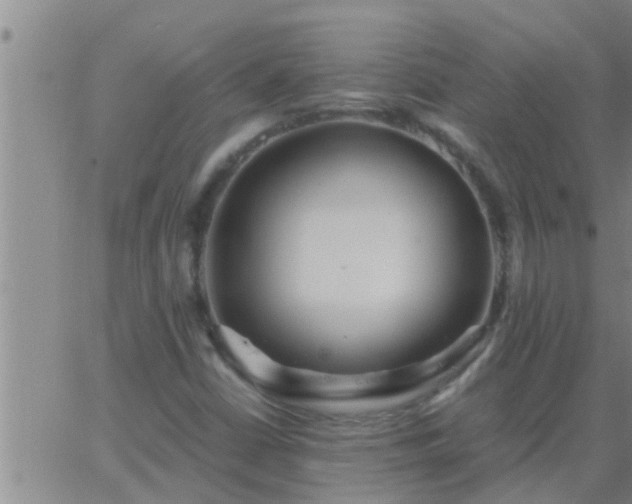 X0000063521402200601271824