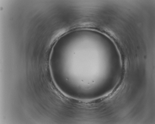 X0000063521405200601271824