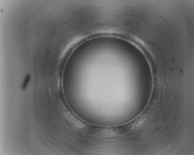 X0000063521408200601271824