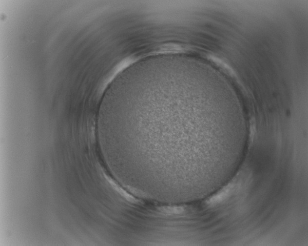 X0000063521409200601271824