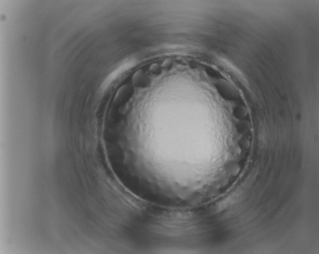 X0000063521411200601271824