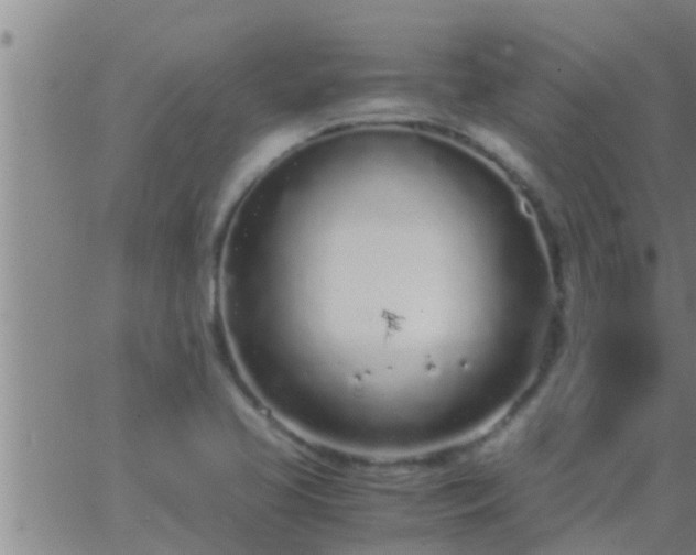 X0000063521413200601271824