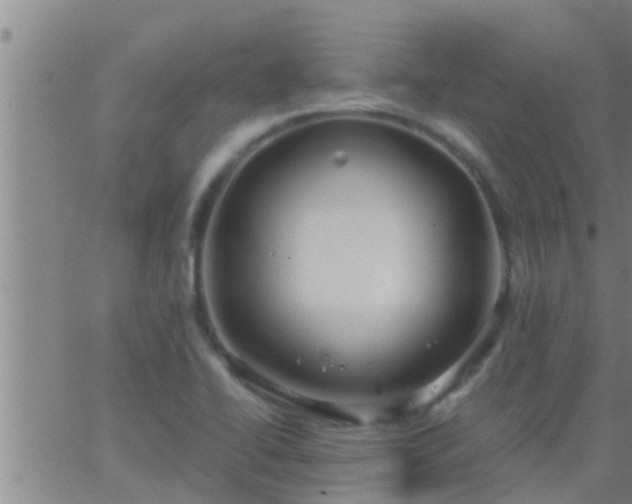 X0000063521414200601271824