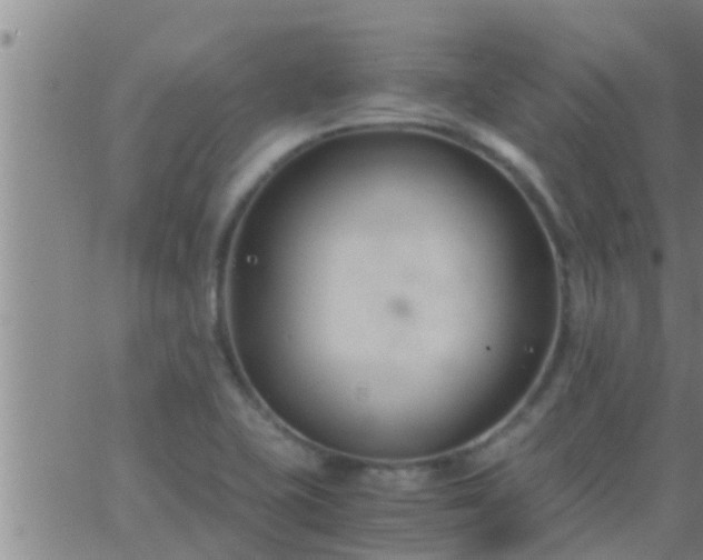 X0000063521415200601271824