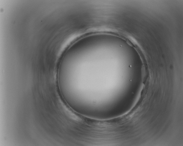 X0000063521416200601271824