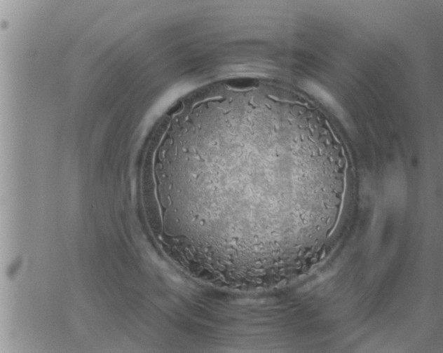 X0000063521419200601271824