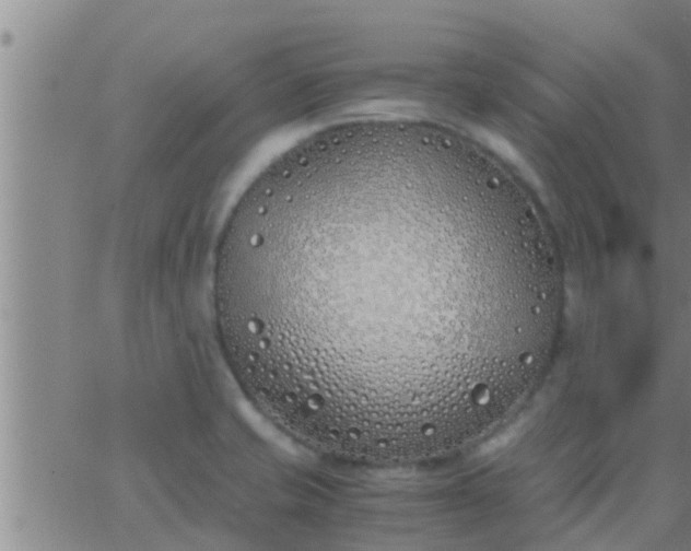 X0000063521421200601271824