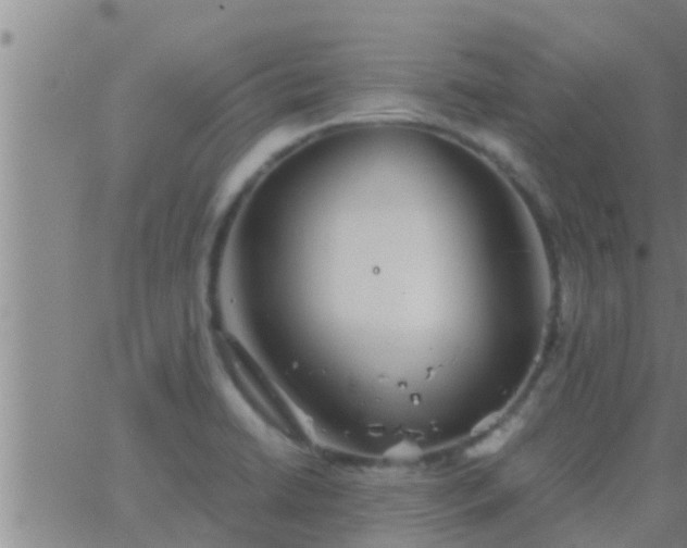 X0000063521422200601271824