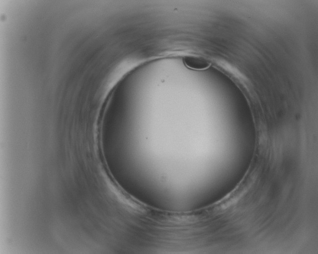 X0000063521423200601271824