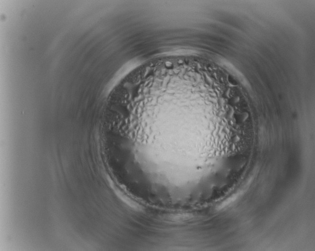 X0000063521425200601271824