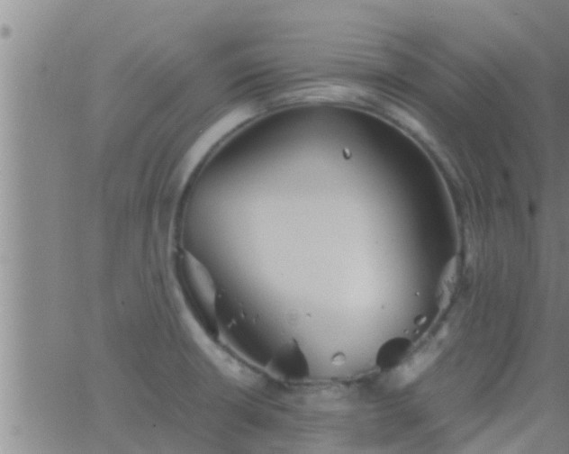 X0000063521426200601271824