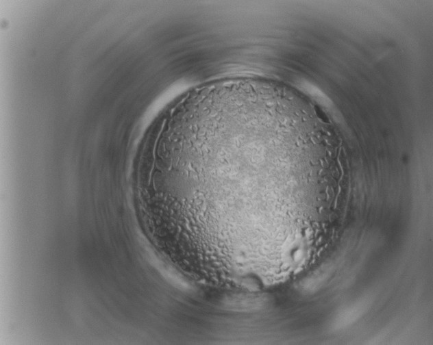 X0000063521427200601271824