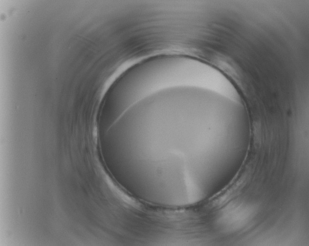 X0000063521428200601271824