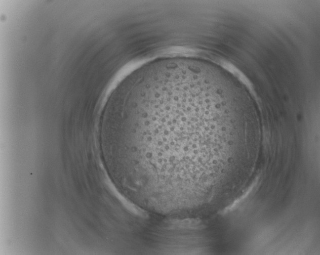 X0000063521429200601271824