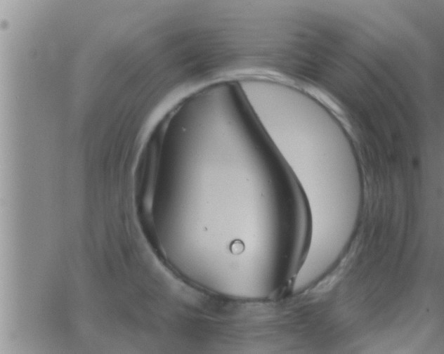 X0000063521430200601271824