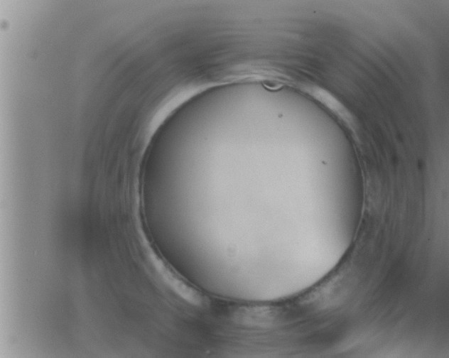 X0000063521431200601271824