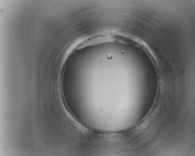 X0000063521432200601271824