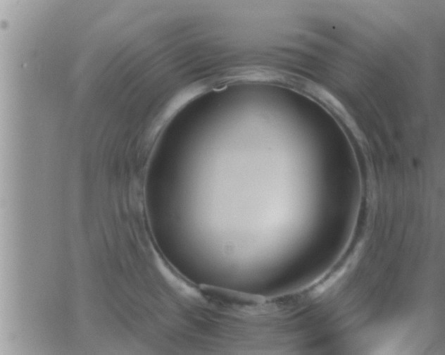 X0000063521433200601271824