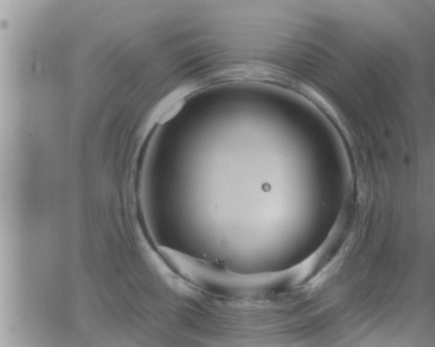 X0000063521434200601271824