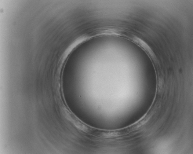 X0000063521435200601271824