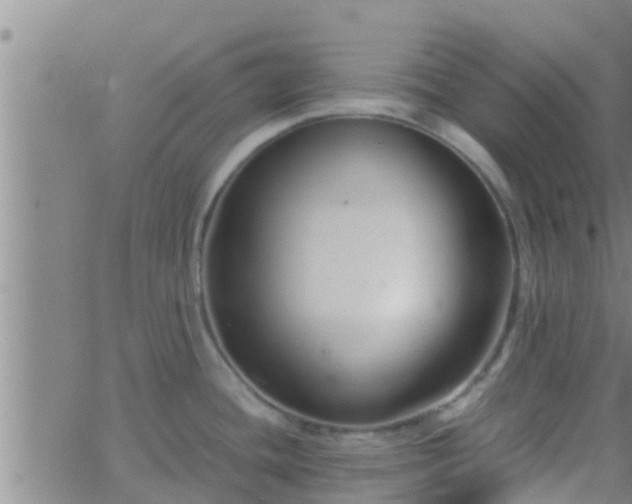 X0000063521436200601271825