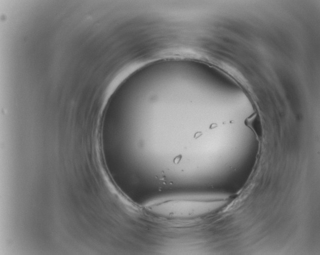 X0000063521440200601271825