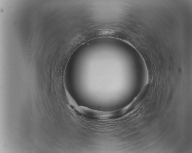 X0000063521441200601271824