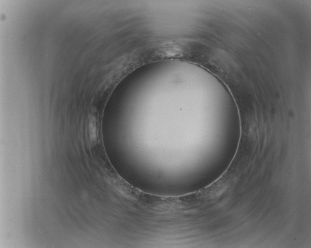 X0000063521442200601271824