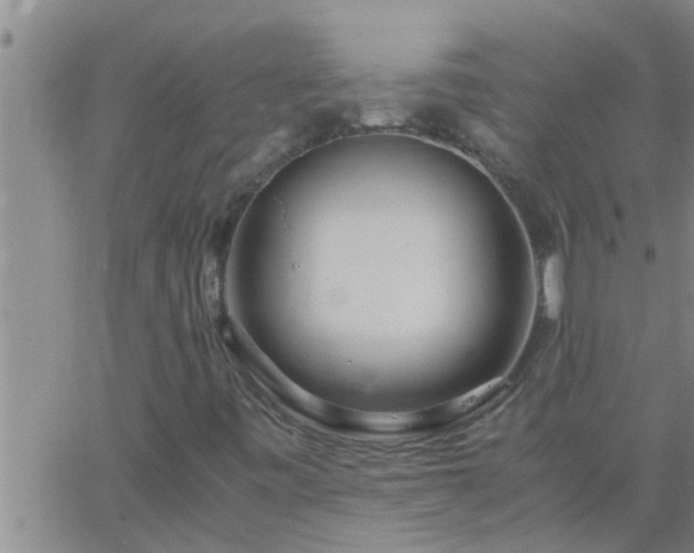 X0000063521443200601271824